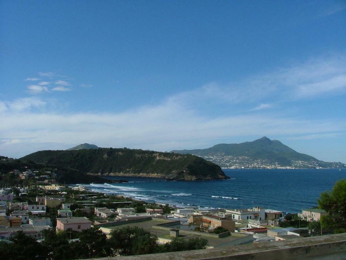 Villa Casa Geltrude Al Porto Procida Esterno foto